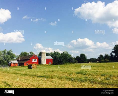 Sky trees grass hi-res stock photography and images - Alamy