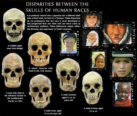 DNA Evidence Debunks the “Out-of-Africa” Theory of Human Evolution - Ancient Colony | Human ...