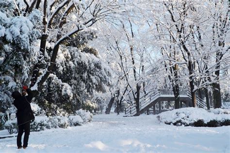 Japan to see average to cooler weather during February-April - Business ...