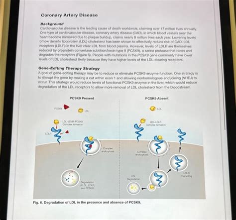 Solved Focus questions A. Describe how disrupting PCSK9 | Chegg.com