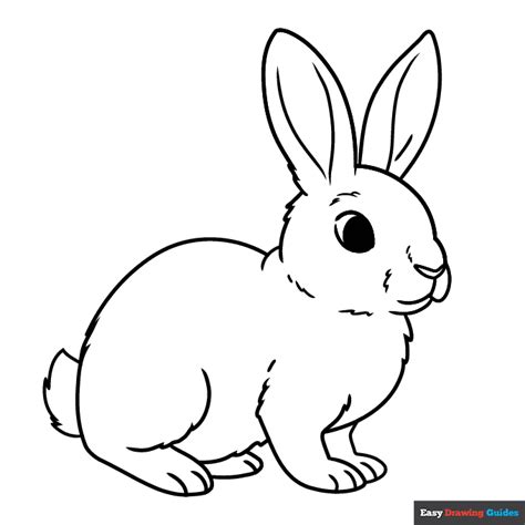 Rabbit Coloring Page | Easy Drawing Guides