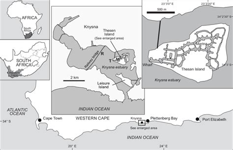 Map of the Knysna Estuary showing location of the Knysna Estuary in... | Download Scientific Diagram