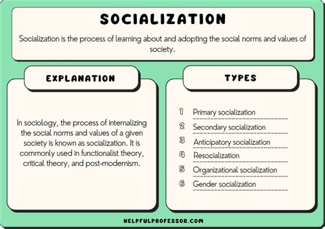 Socialization in Sociology (Definition, Types, 10 Examples) (2024)