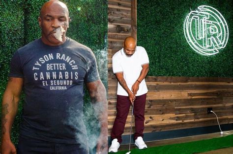 A look at Mike Tyson's weed resort