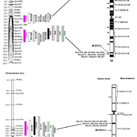 Location association between domestication syndrome factors and... | Download Scientific Diagram