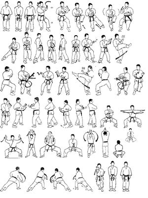 goju ryu seisan - Google Search | Artes marciais, Marcial, Karate