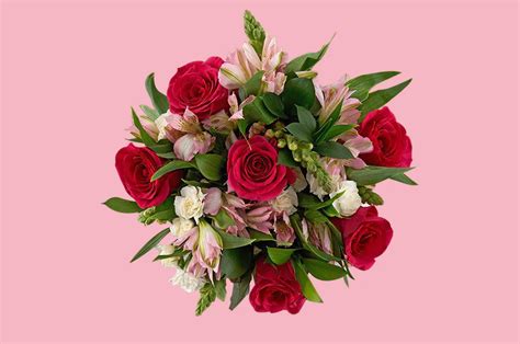 Sofia Weeks: Send Flowers Free Delivery Coupon / The Best Flower ...