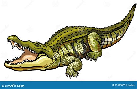 Nile Crocodile Stock Photos - Image: 29127073