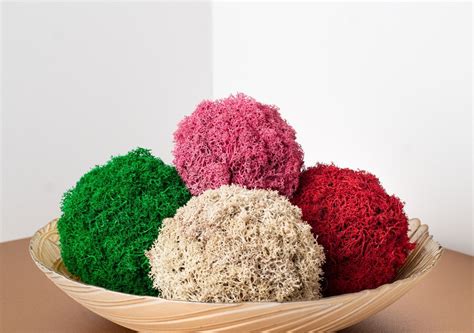 Moss Balls, Moss Decorative Balls, Natural Christmas Decoration ...