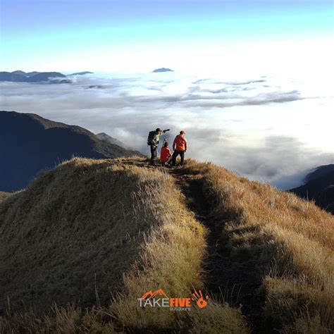 Mt. Pulag Ambangeg Trail with Food & Homestay | Private Tour from Manila