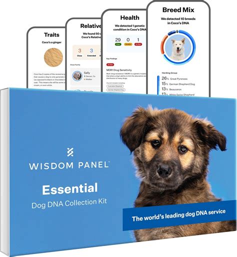 Wisdom Panel Essential Dog DNA Test - Chewy.com