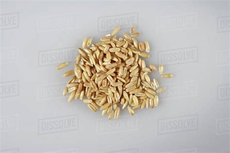 Oat grains - Stock Photo - Dissolve