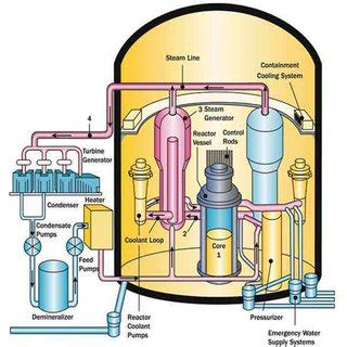 1: Schematic representation of a pressurized water reactor with its ...