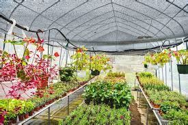 The Benefits of Owning a Greenhouse - MyBest Shop