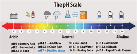 What is Acid Rain? | US EPA