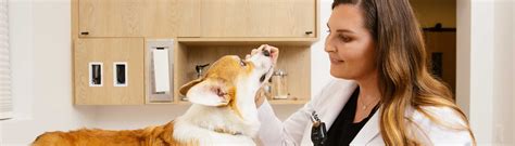 Veterinarian Careers & Benefits | Small Door Veterinary