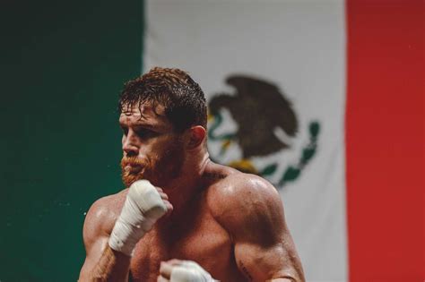 Desktop Canelo Álvarez Wallpaper | WhatsPaper