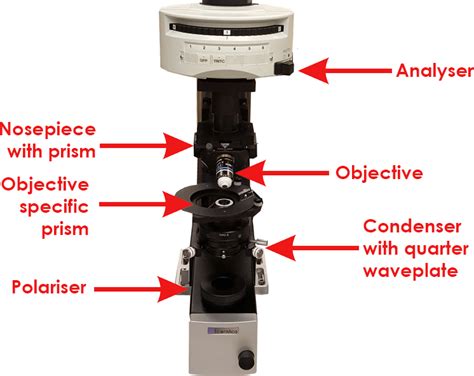 A guide to Differential Interference Contrast (DIC)