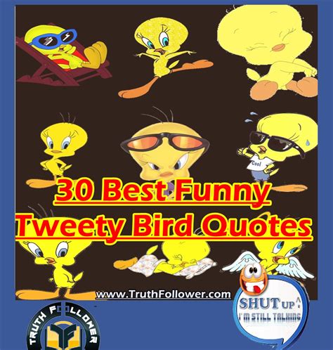 30 Best Funny Tweety Bird Quotes