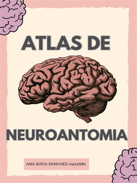 Atlas de Neuroanatomia | PDF