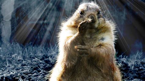 Groundhog Day has roots in astronomy | Astronomy Essentials | EarthSky