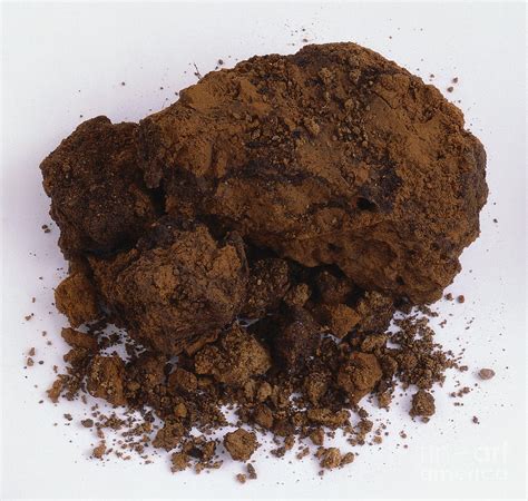 Sample Of Clay Soil Photograph by Dorling Kindersley - Pixels