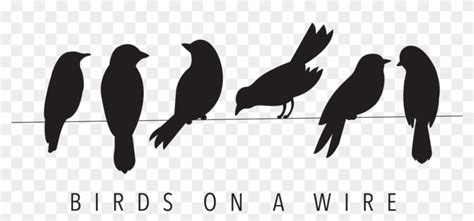 Birds On A Wire - Silhouette Birds On A Wire, HD Png Download - 1500x657(#248091) - PngFind