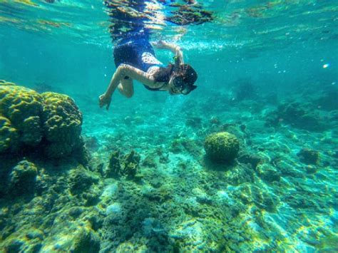 Musim Panas Enaknya Nyemplung Ke 5 Spot Snorkeling Di Pulau Seribu ...