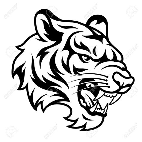 Tiger Clipart Black And White | Free download on ClipArtMag