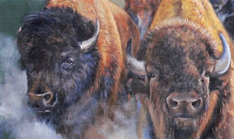 Buffalo Stampede Limited Edition Print of Running American Buffalo in South Dakota - Etsy