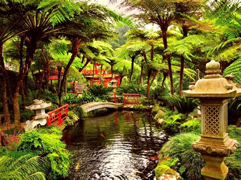 Enchanted Garden Wallpapers - Top Free Enchanted Garden Backgrounds - WallpaperAccess