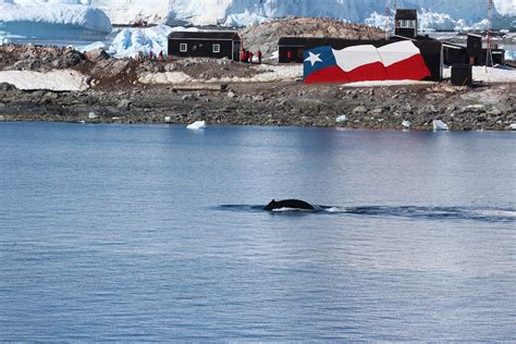 Gonzalez Videla Research Base (Paradise Harbour): All You Need to Know