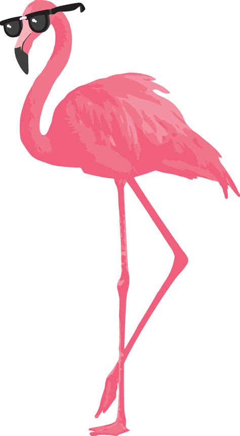 Flamingo Clip Art, Flamingo Vector, Red Flamingo, Pink Bird, Flamingo ...