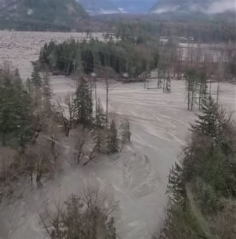 Massive landslide in Bute Inlet wipes out wildlife habitat, poses risks to marine traffic along ...