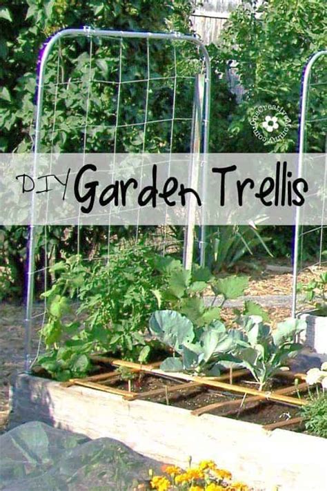 10 DIY Watermelon Trellis Ideas - Grow Watermelons Vertically! - Outdoor Happens