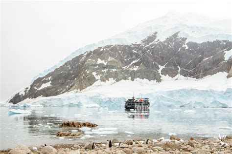 Luxury Antarctica Experience: Magellan Explorer | Your Adventure Wedding