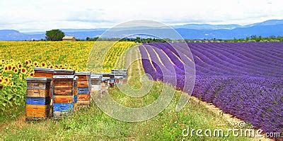 Provence, France , Countryside Stock Photo - Image: 43454260