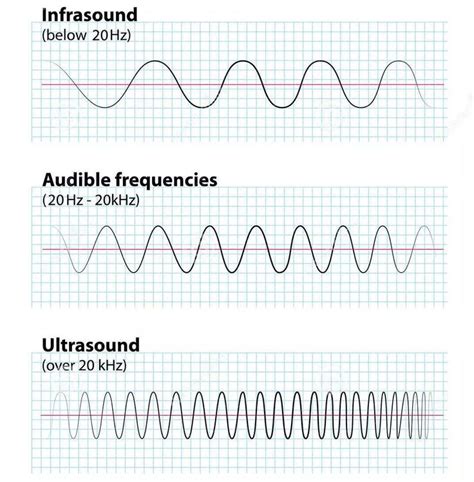 What is Infrasound? How Human Reacts to Sub 20Hz Infrasound? | Basic physics, Basic physics ...