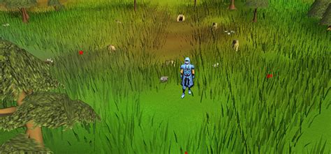 Best Places To Hunt Grey Chinchompas in OSRS – FandomSpot