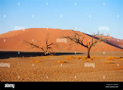 Namib desert landscape, Namibia Stock Photo - Alamy