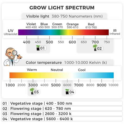 Cannabis Grow Light Distance Chart - ILGM