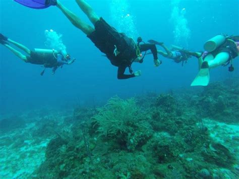 The 12 Best Snorkeling Spots in Jamaica - Exploring Caribbean