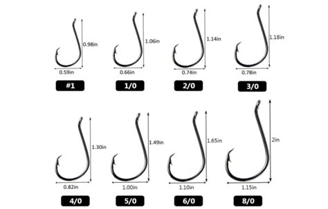 what size circle hooks for striped bass | Anglers Gear