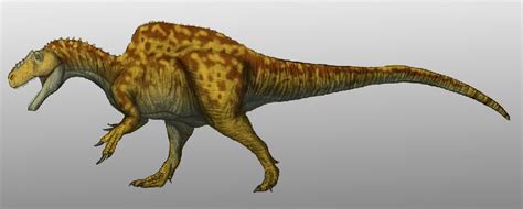 Becklespinax Pictures & Facts - The Dinosaur Database