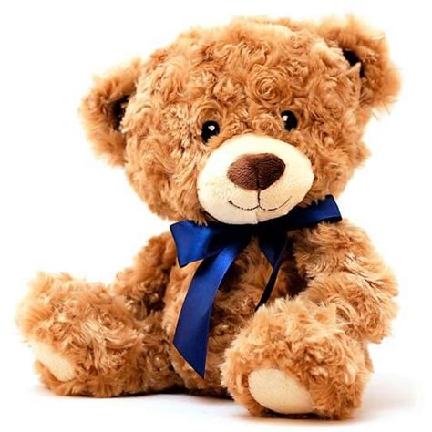 Cute Brown Teddy Bear | Blooms Only