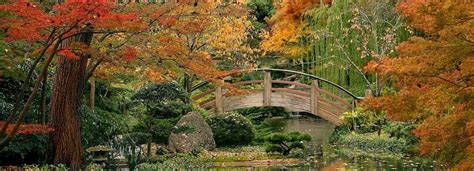 View Fall Foliage in Fort Worth, Texas | Visit Parks & Gardens