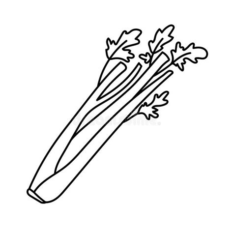 Celery Clip Art Black And White