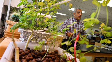 St. Cloud community college prof supports renewable energy research