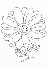 Beautiful Printable Flowers Coloring Pages sketch template