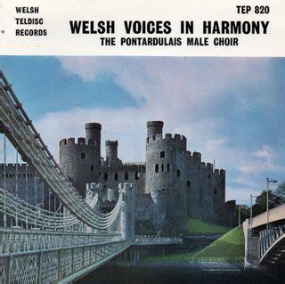 Pontarddulais Male Choir - Welsh Voices In Harmony (1963, Vinyl) | Discogs